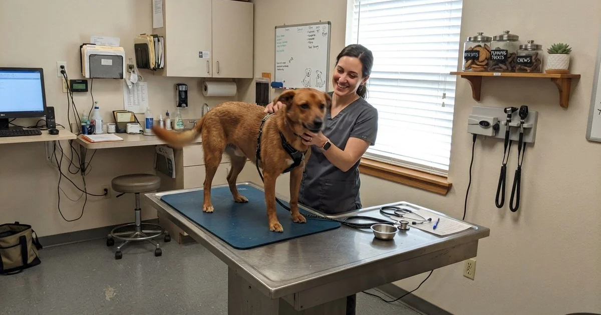 Featured veterinarian in Denver CO