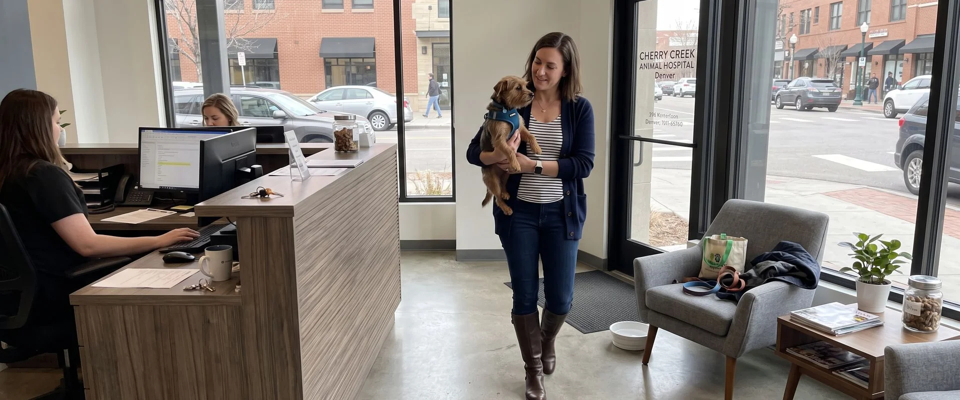 veterinarian in Cherry Creek, Denver CO