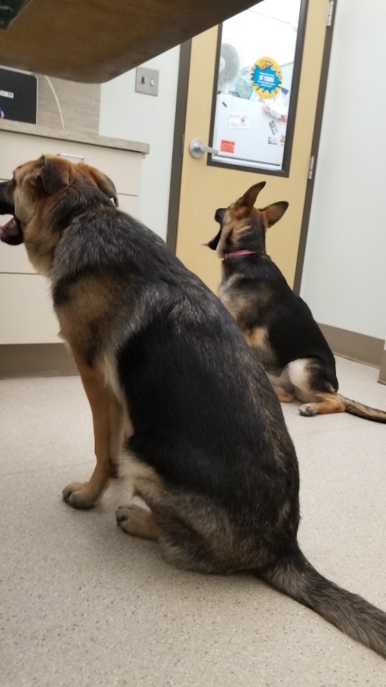 VCA Aspenwood Animal Hospital