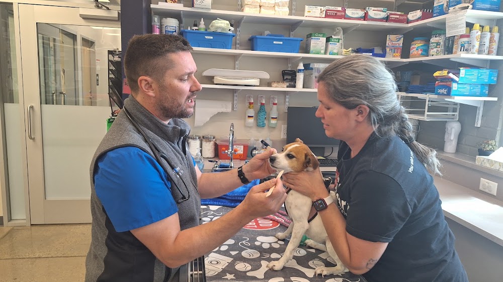 Goodheart Animal Health Center - Lowry