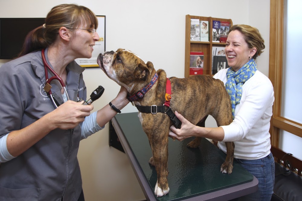 Tender Touch Animal Hospital