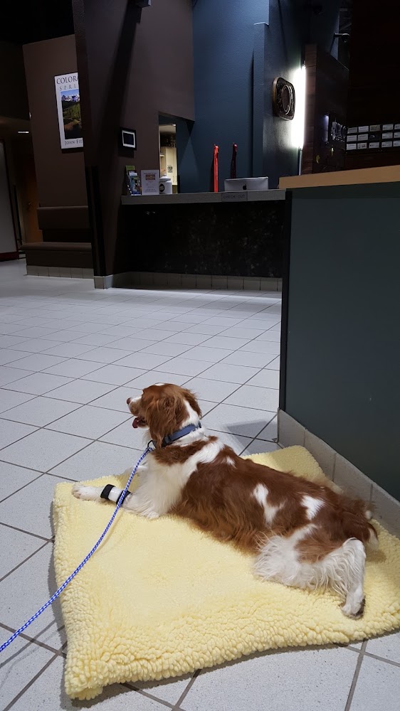 VRCC Veterinary Specialty and Emergency Hospital