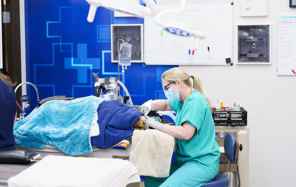 Dr. Kelly's Surgical Clinic - Denver