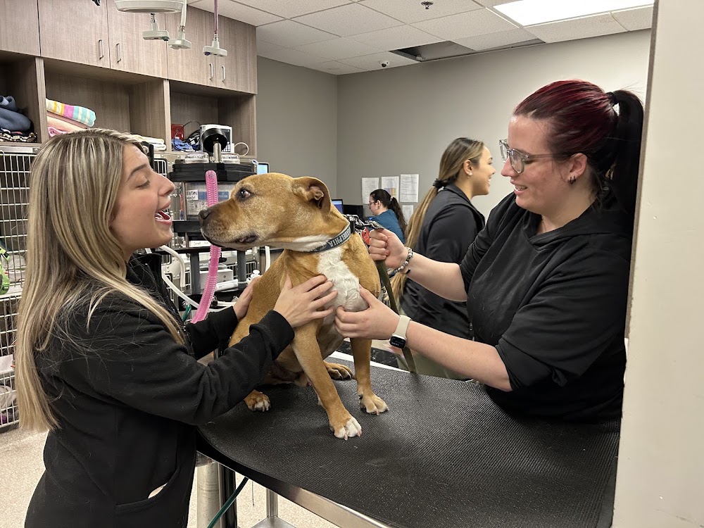 Wheat Ridge Animal Hospital