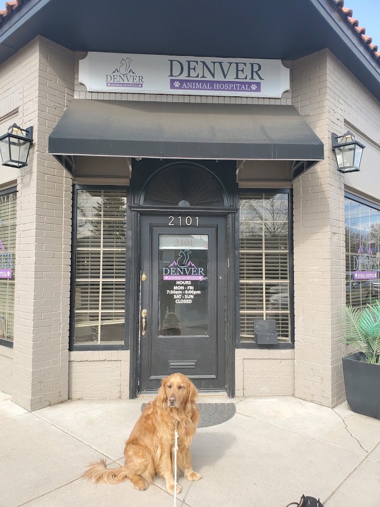 Denver Animal Hospital
