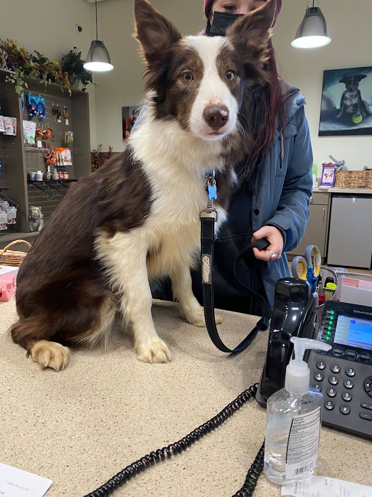 Evans East Animal Hospital