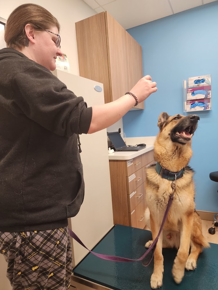 VetCare Animal Hospital