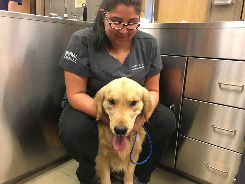 Gentle Touch Animal Hospital