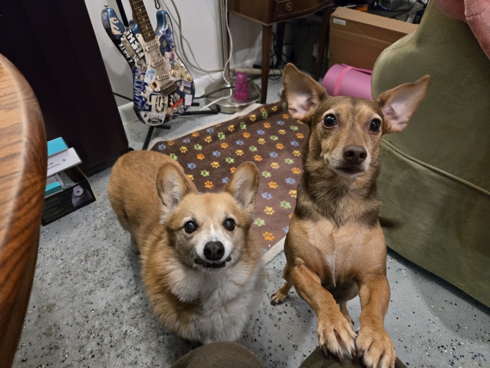Pets On Broadway Animal Hospital