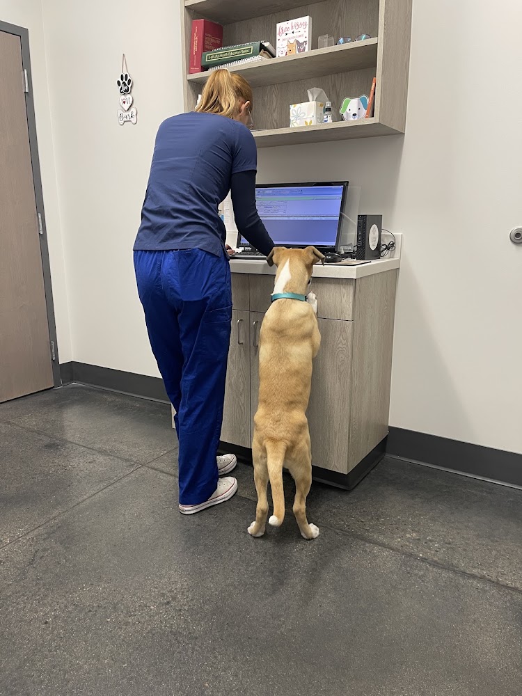 Montclair Animal Clinic