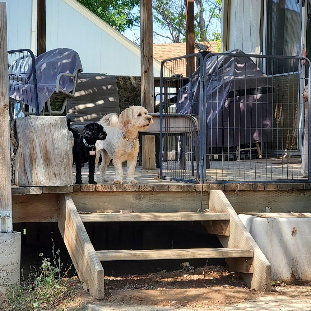 Belcaro Animal Hospital