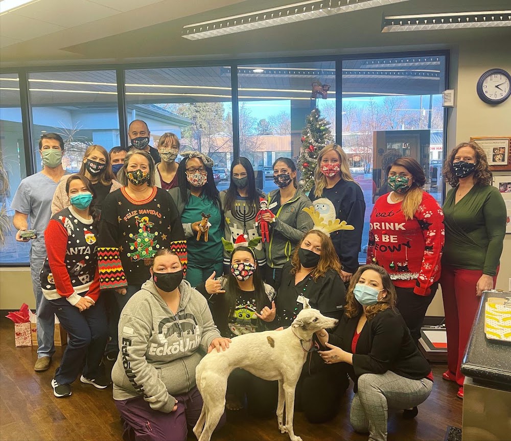 Park Hill Veterinary Medical Center