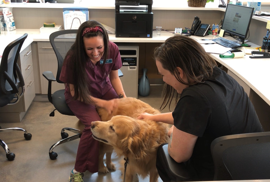 5280 Veterinary Care