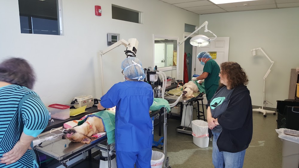SpayToday Healthy Pet Center