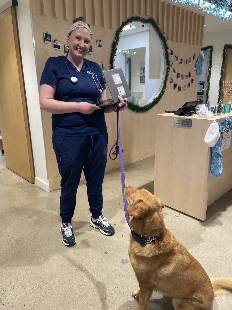 Berkeley Animal Hospital