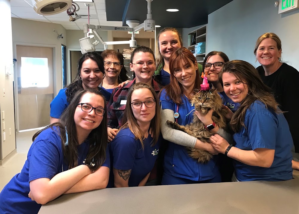 VIDA Veterinary Care - Denver